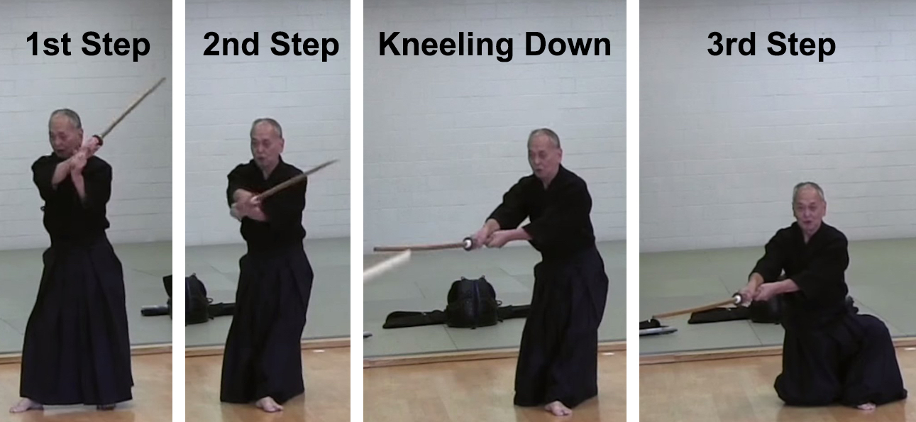 Shitachi Do Strikes Steps