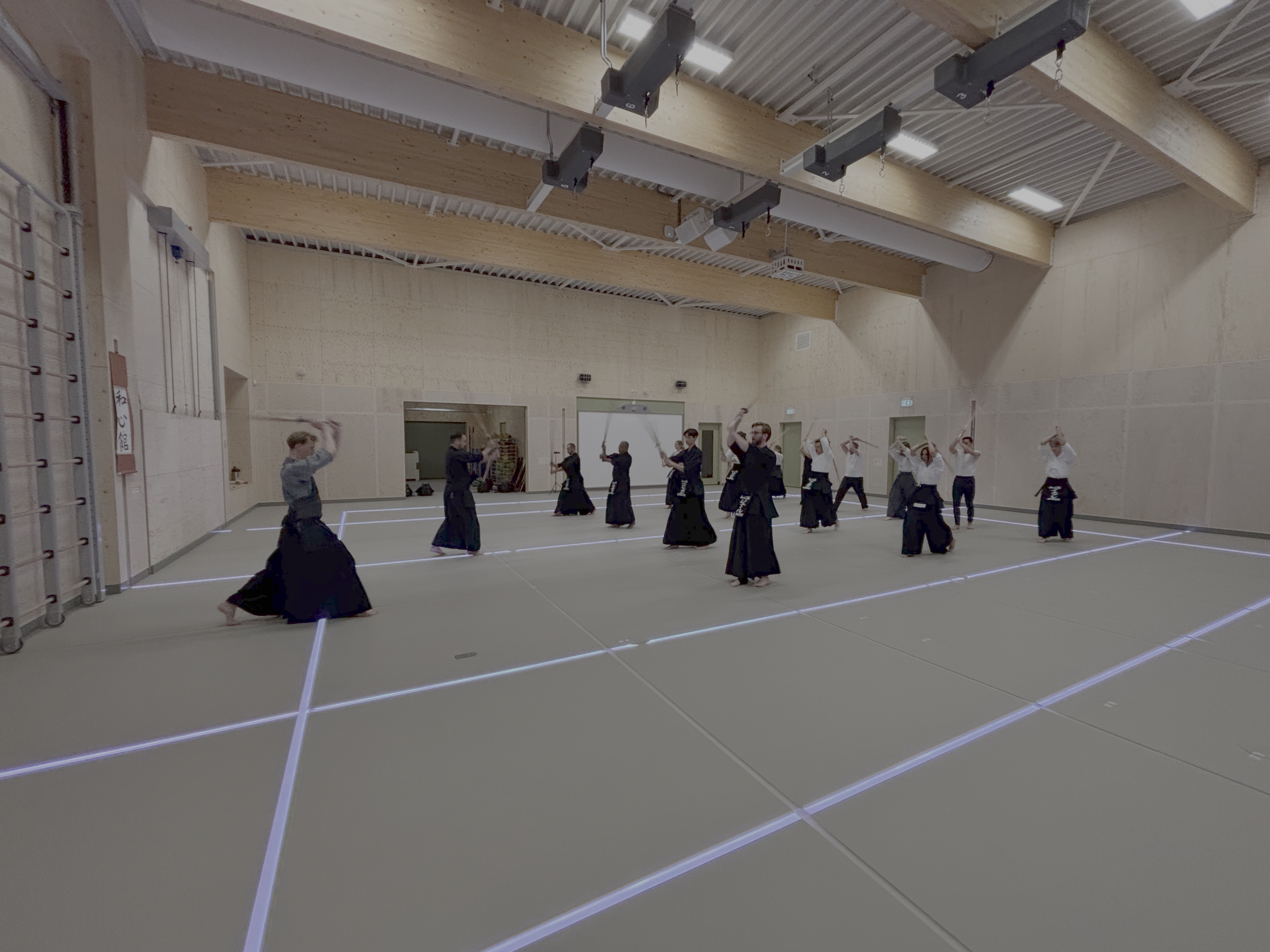 Washinkai Dojo with Bright Lines