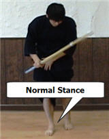 Imagen 3 (*Posición normal) Chudan