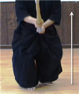 Imagen 9 Kamae-to