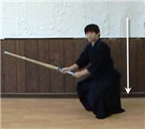 Imagen 8: Lateral sonkyo