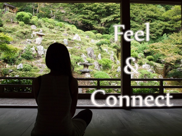 Can You Feel and Connect?