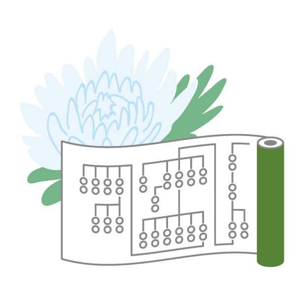 Kenjutsu Ryuha Kakeizu