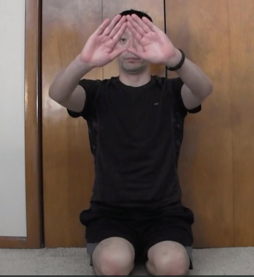 Figure 2: Make a triangle with your hands