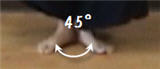 kendo feet standing position 45 degrees